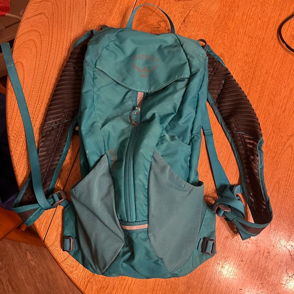 Osprey Backpack - image 1